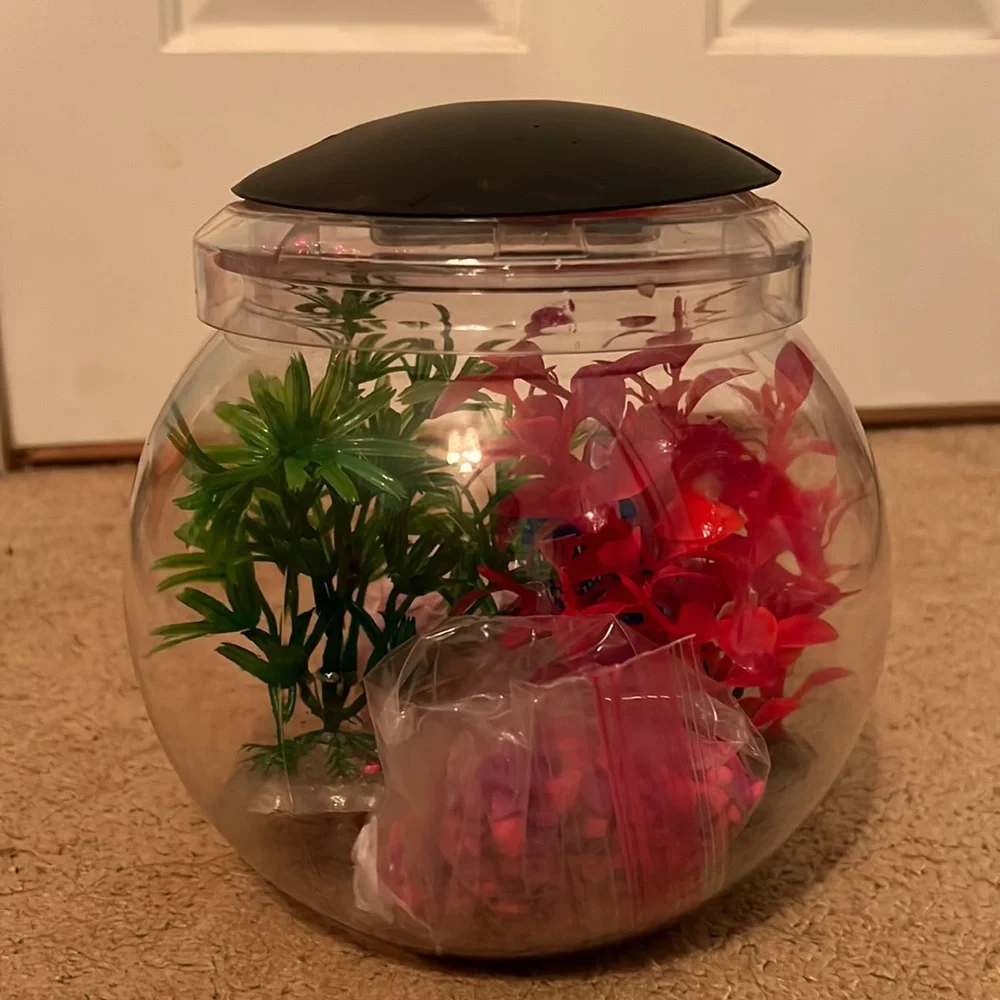Round bowl fish tank